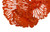 Flower Wall Art, Small, Coral, Metal