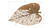 Birch Leaf Wall Art, Copper, XL
