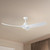 Baylor 60-in White Ceiling Fan