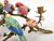 Candle Stand With Multi Birds And Bronze