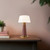 Clemence 11-in Burgundy dimmable LED Table Lamp