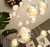 Modern Crystal Glass Ball LED Pendant Lights Fixture