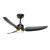 Hugo 42-in Brushed Gold/Matte Black with Light Kit Ceiling Fan