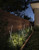 Dorian Black LED Exterior Low Voltage Landscape (EG26718-BK)