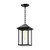 Larchmont 7-in Clear Glass/Textured Black 1 Light Exterior Pendant