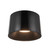 Etta 19-in Jet Black LED Flush Mount