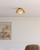 Haven 12-in Gold/Opal Matte Glass 1 Light Flush Mount