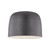 Cayne 12-in Black/White LED Flush Mount