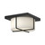 Regalo 10-in Black/Opal Glass LED Flush Mount