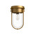 Cyrus 8-in Aged Gold/Clear Glass 1 Light Flush Mount