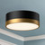 Brisbane 12-in Aged Gold/Matte Black 2 Lights Flush Mount
