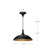 Abel 14-in Brushed Gold 1 Light Pendant