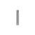 Fan Downrod 6-in Brushed Nickel