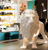 Lion Floor Lamp