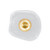 Embark 12"H  Sconce