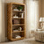 5 Shelf Etagere (CVFDR1167)