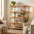 4 Shelf Etagere (CVFDR1363)