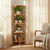4 Shelf Corner Etagere