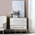 3 Drawer Accent Chest (CVFNR4270)