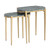 2 Piece Accent_Nesting Tables Set (CVFNR4539)