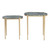 2 Piece Accent_Nesting Tables Set (CVFNR4539)