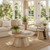 2 Piece Accent_End Table Nesting Set (CVFNR4827)