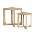 2 Piece Accent_Nesting Tables Set (CVFNR4833)