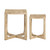 2 Piece Accent_Nesting Tables Set (CVFNR4833)