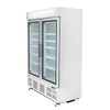 Polar G-Series Upright Display Freezer 920Ltr White GH507