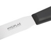 Blade of Hygiplas Straight Blade Palette Knife Black 25.5cm.
