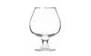 Libbey 11.5oz Embassy Brandy Snifter 12 Pack