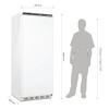 Polar C-Series Upright Freezer White 600Ltr CD615