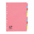 Punched Subject Divider A4 12 Part Multicolour