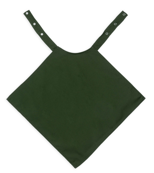 Green Napkin Style Bib