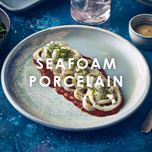 Terra Porcelain Seafoam Crockery