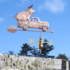 Truck with Pig Weathervane