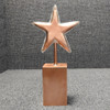star fence post cap