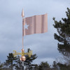 Texas state flag weathervane
