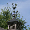 customer photo rooster weathervane
