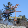 Chinese Dragon Weathervane