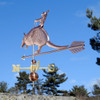 Armadillo with Cowboy Weathervane