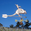 Armadillo with Cowboy Weathervane