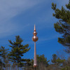 Top Notch Finial