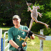 Todd and Party Frog Weathervane