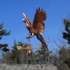 Flying Pheasant Weathervane