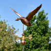 goose weathervane