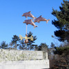 Dolphin Weathervane