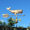 Whale Weather vane