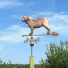 Bulldog Weathervane