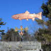 Rainbow Trout Weathervane